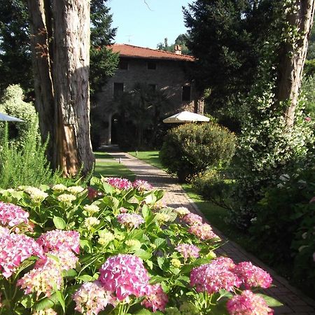 L'Arcadia Guest House Pietrasanta Luaran gambar