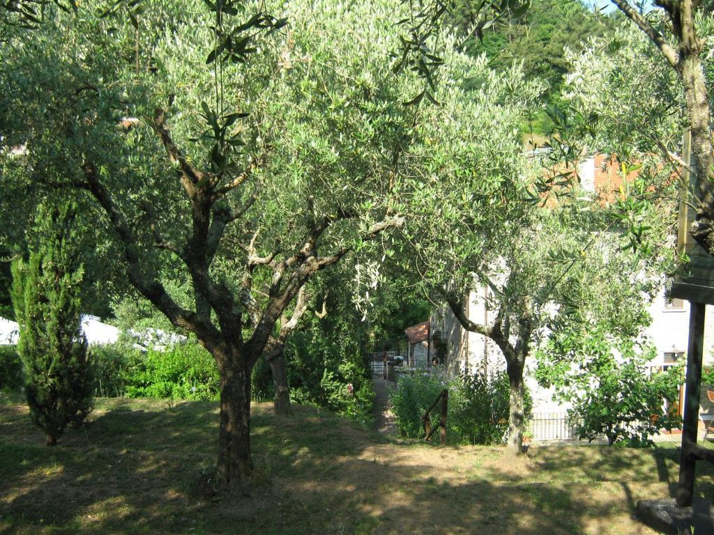 L'Arcadia Guest House Pietrasanta Luaran gambar