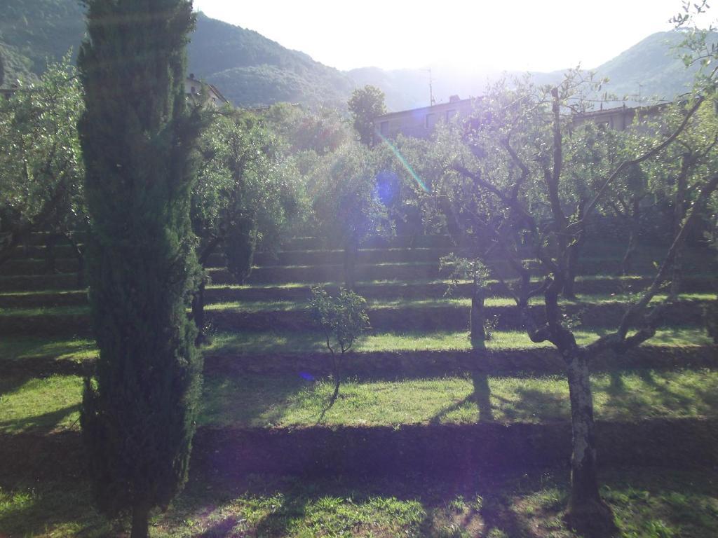 L'Arcadia Guest House Pietrasanta Luaran gambar