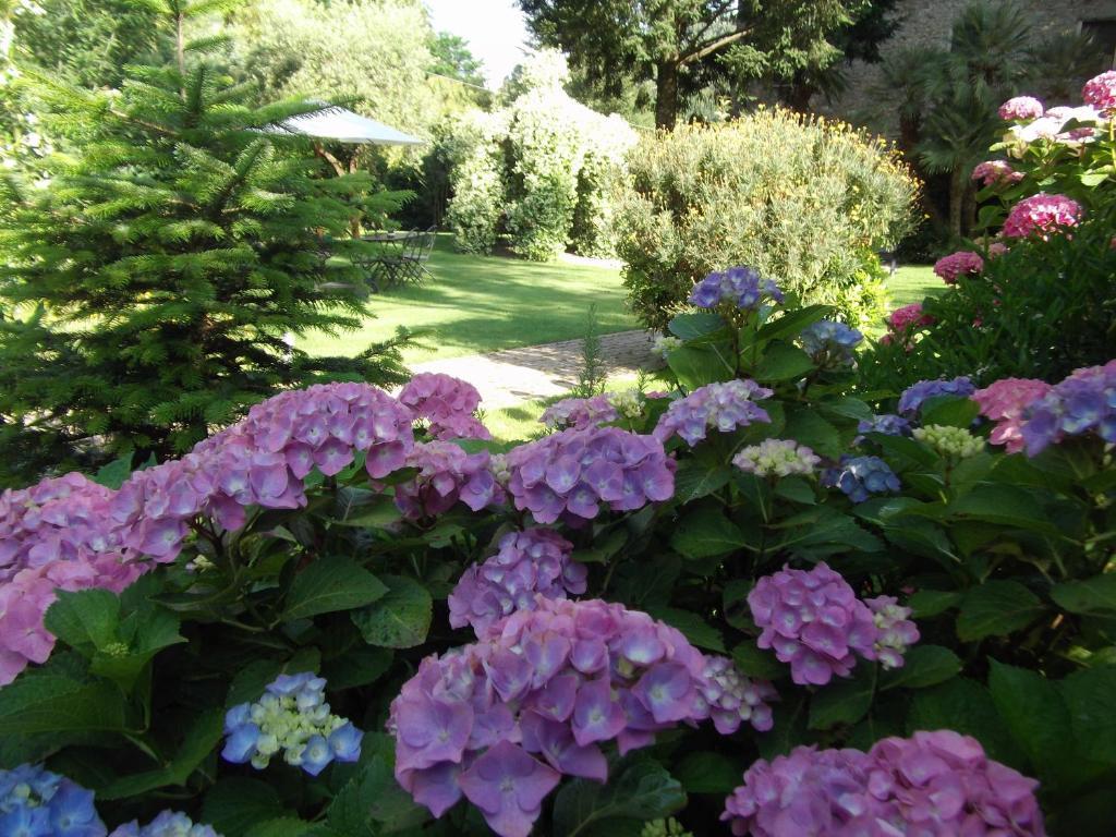 L'Arcadia Guest House Pietrasanta Luaran gambar